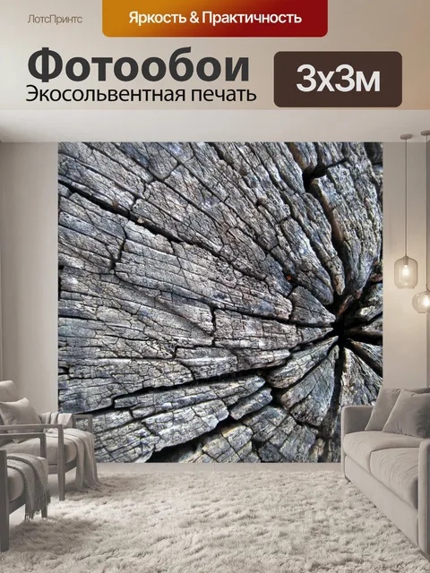 Фотообои пропиленной ствола дерева