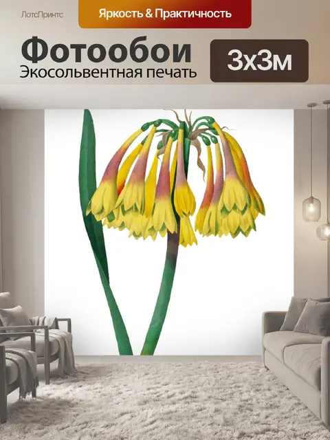 Фотообои Клипарт Цветочная роспись искусства