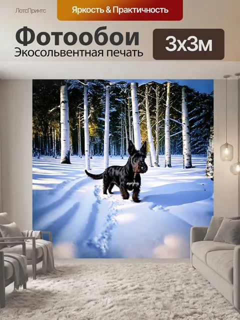 Фотообои шотландский терьер, исследующий запахи в заснеженном лесу, его следы свежи на нежном покрове снега