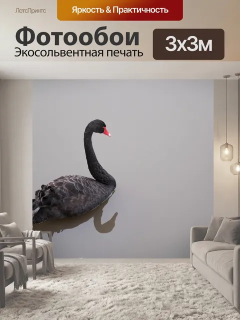 Фотообои Черный лебедь
