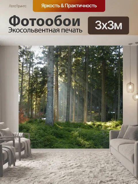 Фотообои Лес