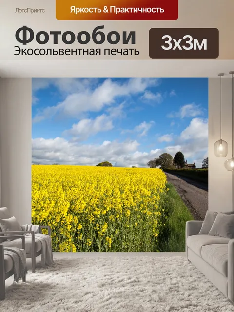 Фотообои Область желтого рапса