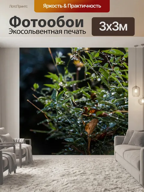 Фотообои Природа после дождя