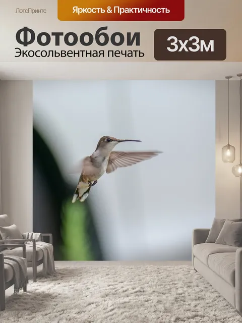 Фотообои Птица