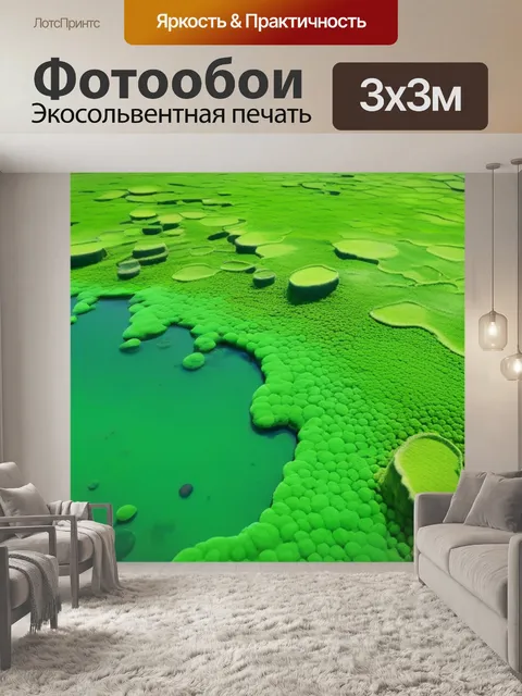Фотообои каменистое дно с зелеными водорослями