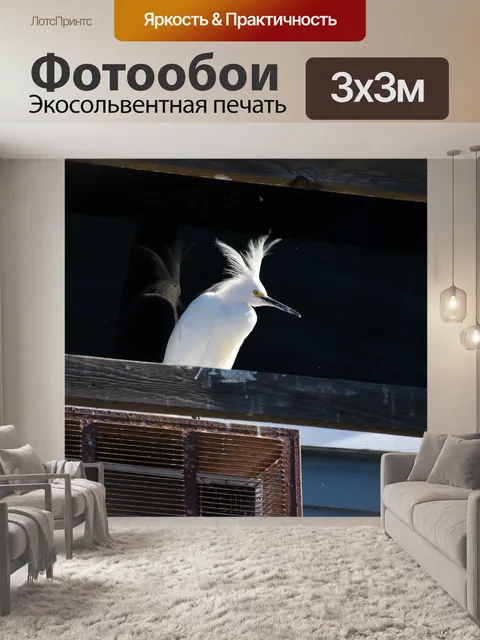 Фотообои Снежная белая цапля