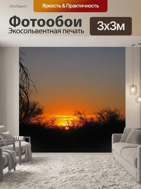 Фотообои закат в кустах