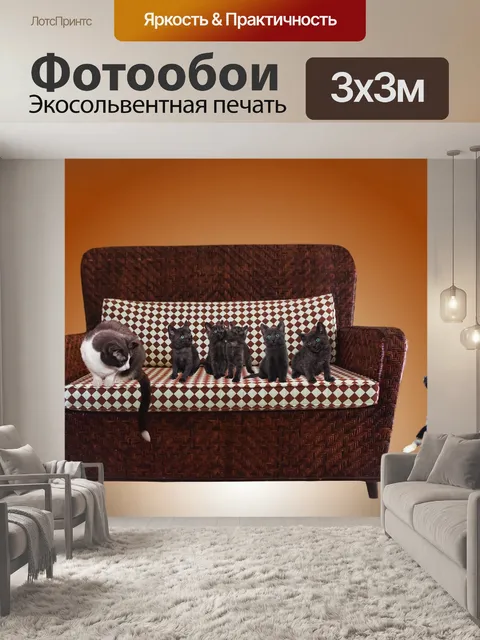 Фотообои Кошки
