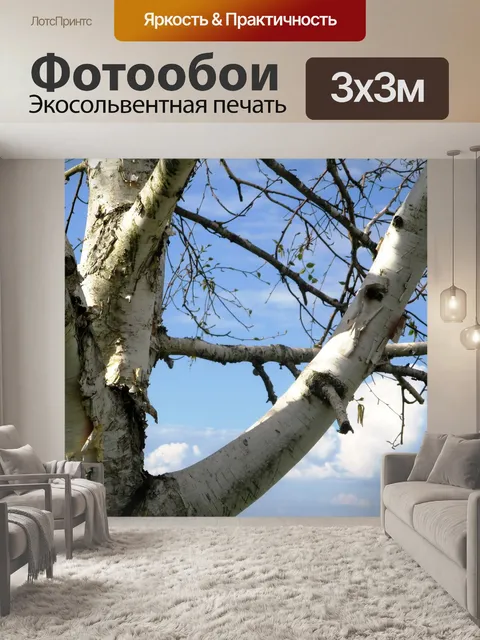 Фотообои Береза