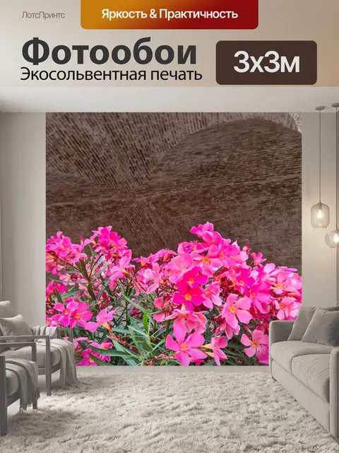 Фотообои Цветы олеандра
