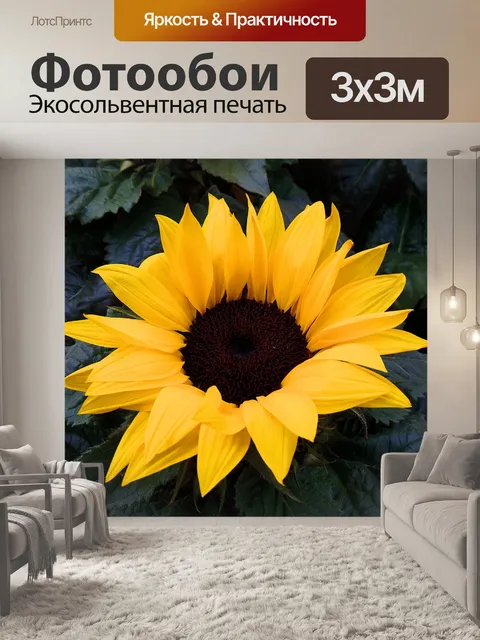 Фотообои Подсолнечник