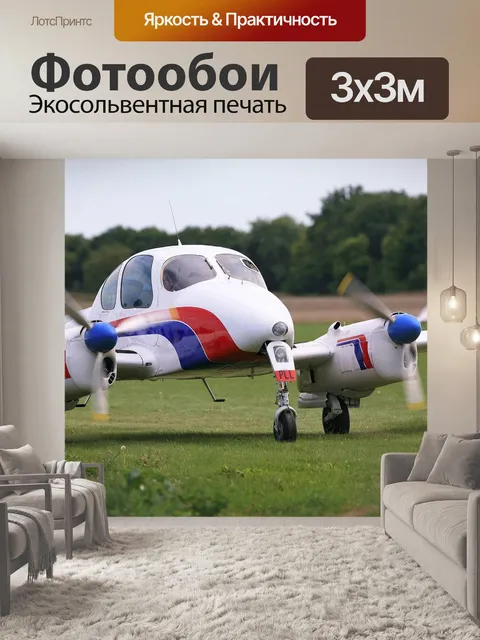 Фотообои Зноймо аэропорт