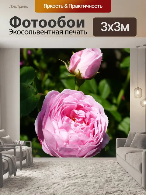 Фотообои Рось