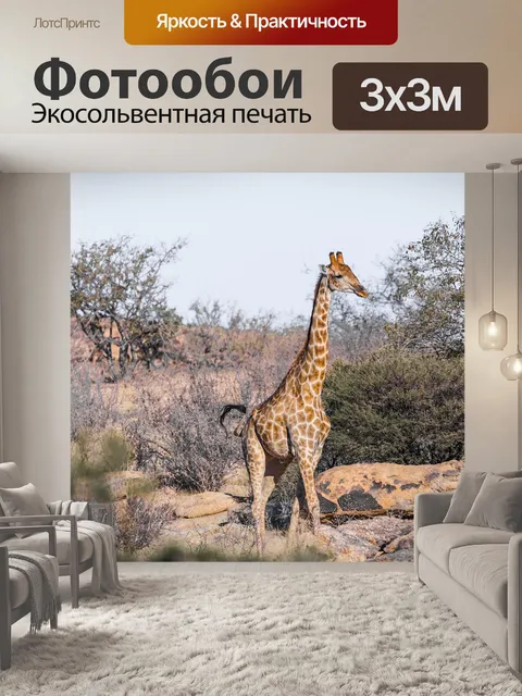 Фотообои Жирафа