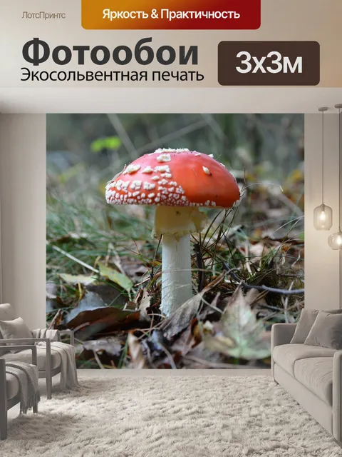 Фотообои Осень
