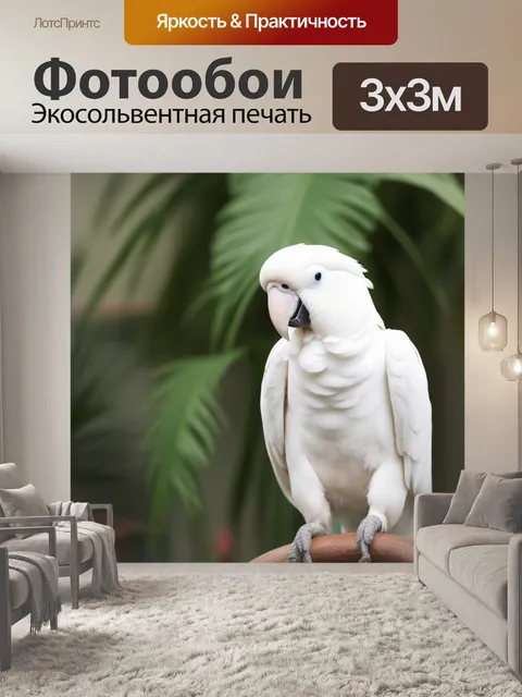 Фотообои белый