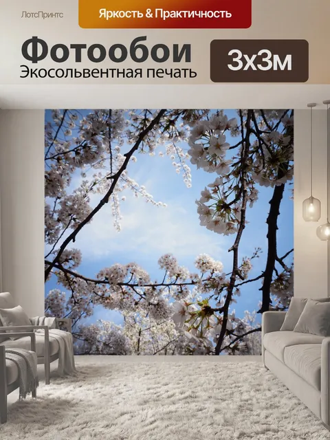 Фотообои Вишни в цвету