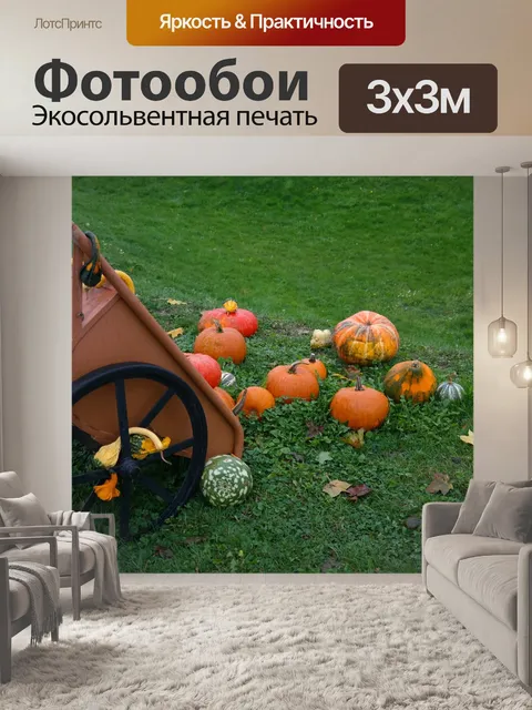 Фотообои Тачка