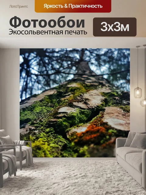 Фотообои Дерево