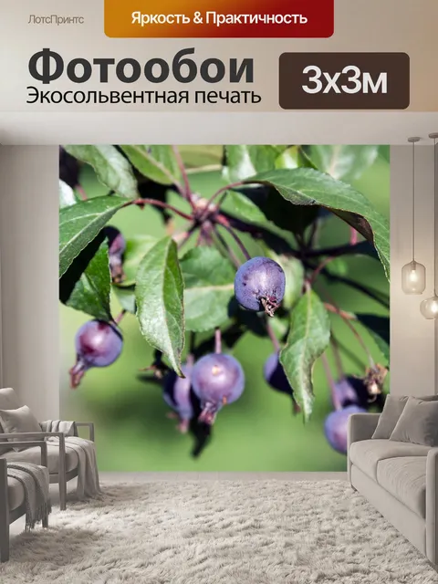 Фотообои Яблоня