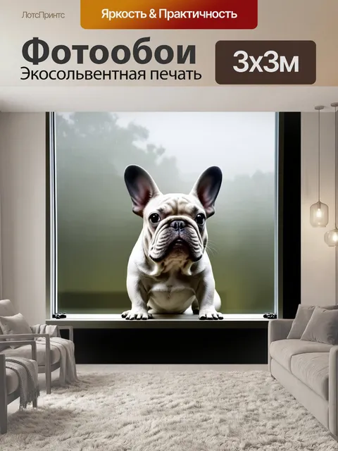 Фотообои забавный французский бульдог смотрит в окно с запотевшими стеклами