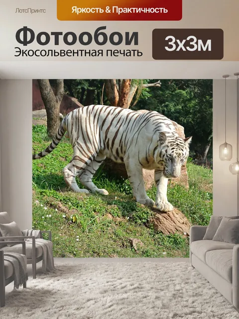Фотообои Белый бенгальский тигр