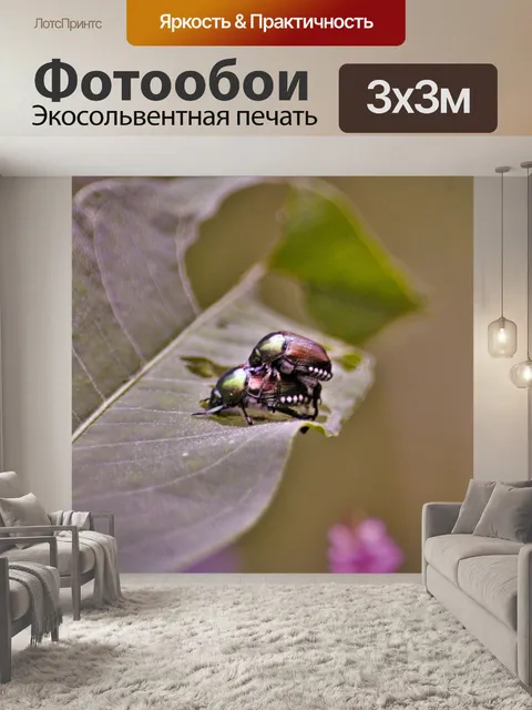 Фотообои Жуки