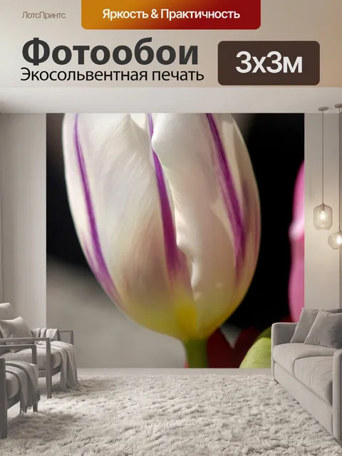 Фотообои Тюльпан