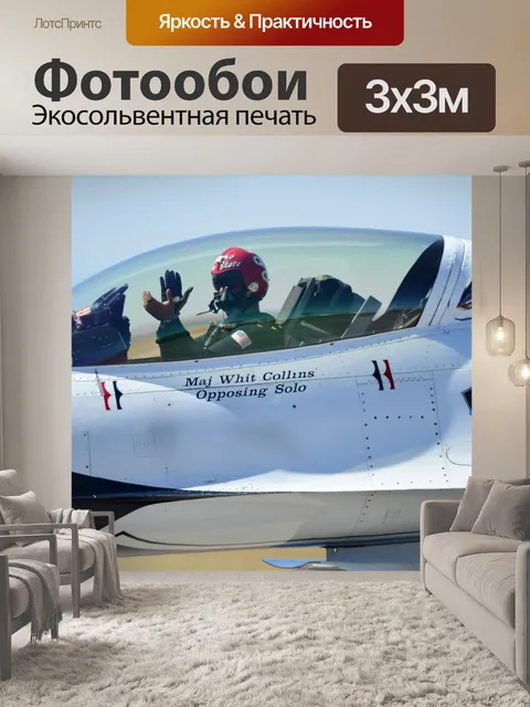 Фотообои Ввс сша