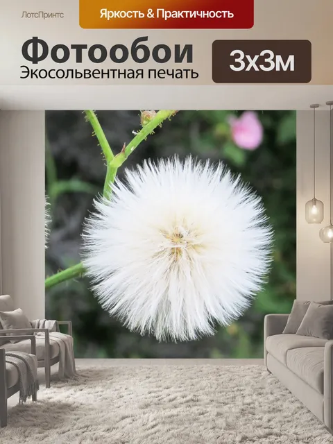 Фотообои одуванчика хотите