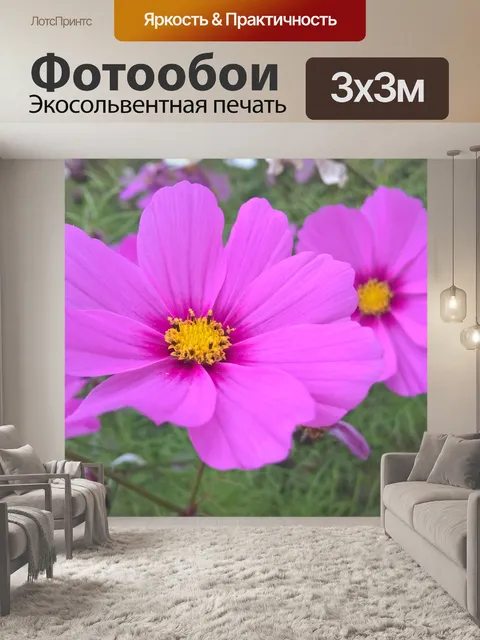 Фотообои Космос