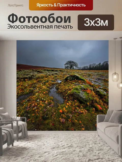 Фотообои осень осенняя слякоть