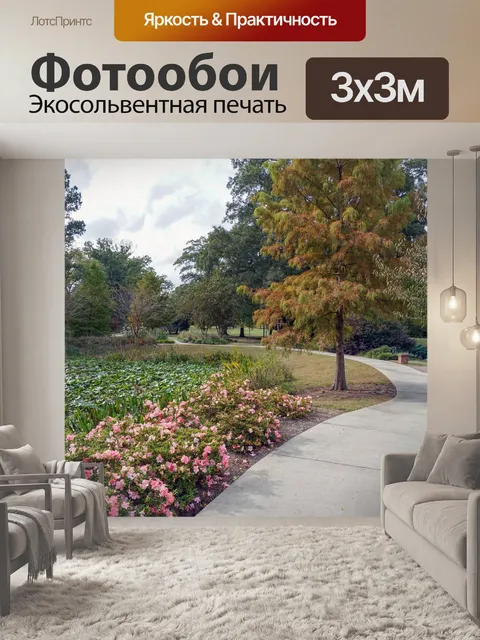 Фотообои Дорожка