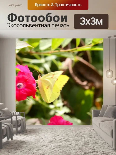 Фотообои Желтый Бабочка