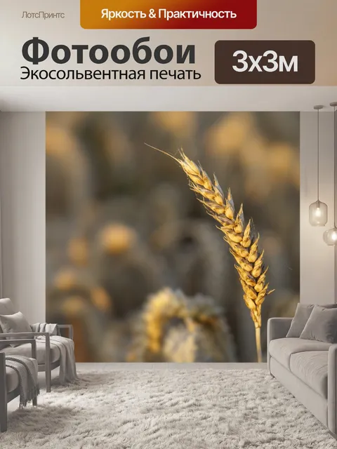 Фотообои Рожь пшеничная урожая ячменя