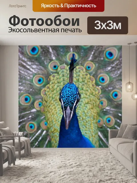 Фотообои Павлин