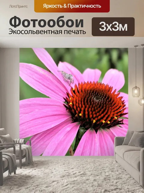 Фотообои Розовый Василек и паук крупным планом
