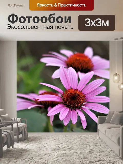 Фотообои Три розовых конуса