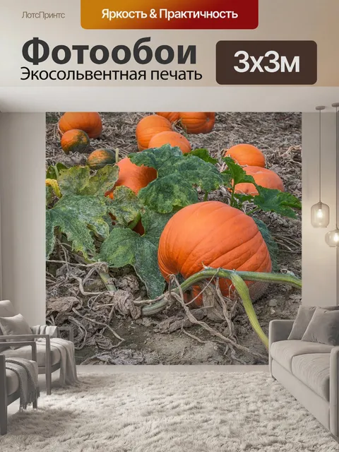 Фотообои Тыква