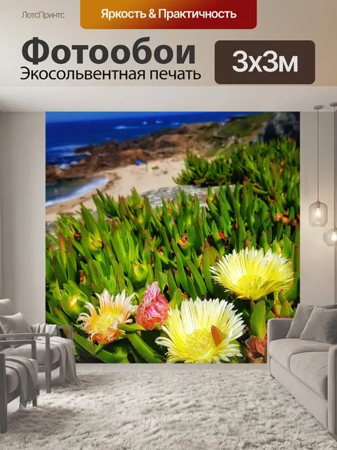Фотообои Пляж