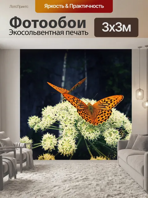 Фотообои Бабочка
