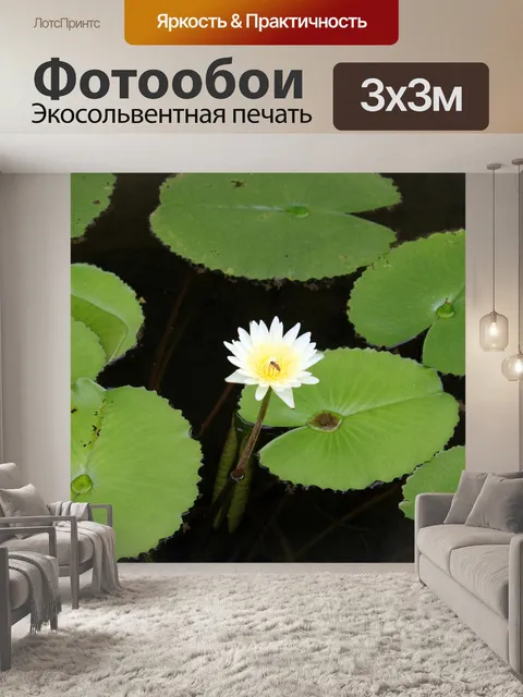 Фотообои пчела на белый цветок лотоса