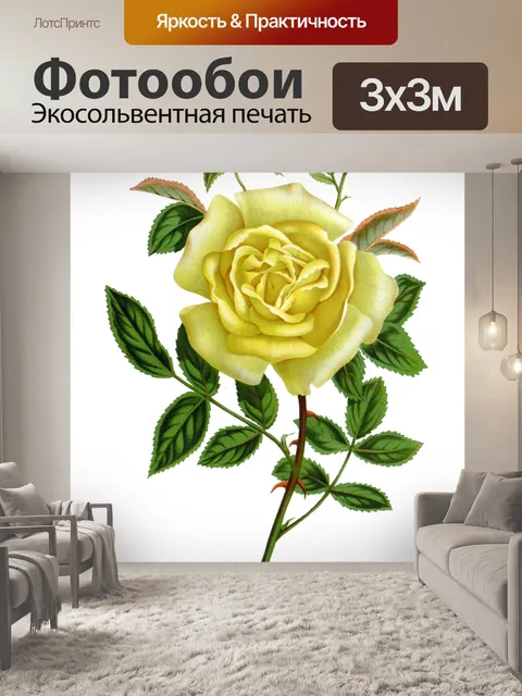 Фотообои Винтаж Клипарт Розы Цветы