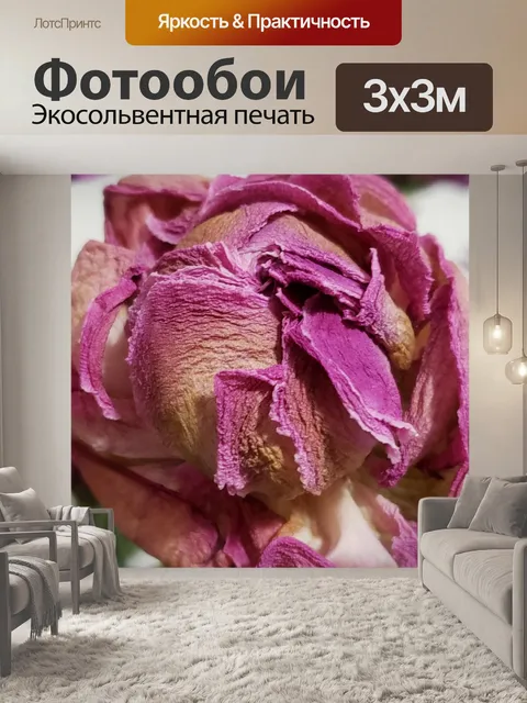 Фотообои Пион бутон