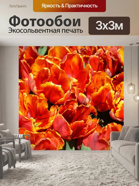 Фотообои Тюльпаны
