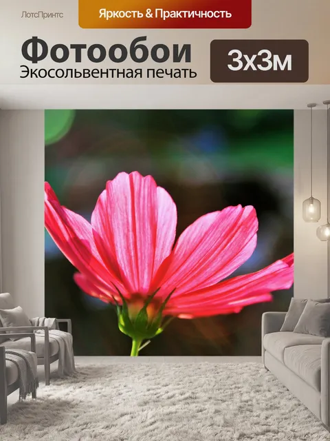 Фотообои полупрозрачные розовые космос