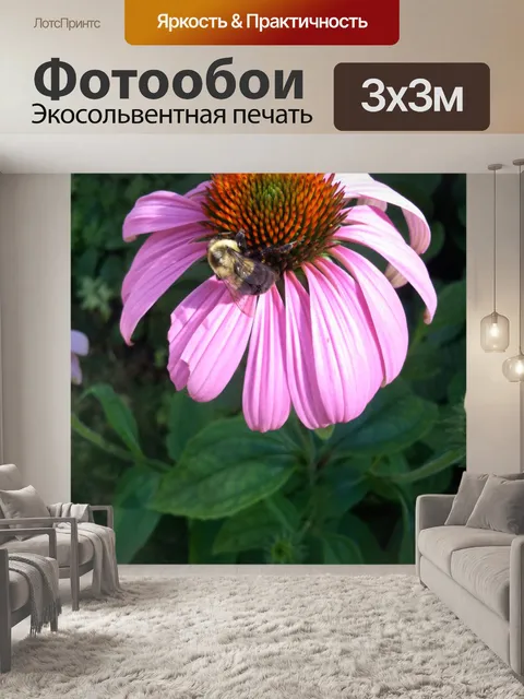 Фотообои Busy Bee
