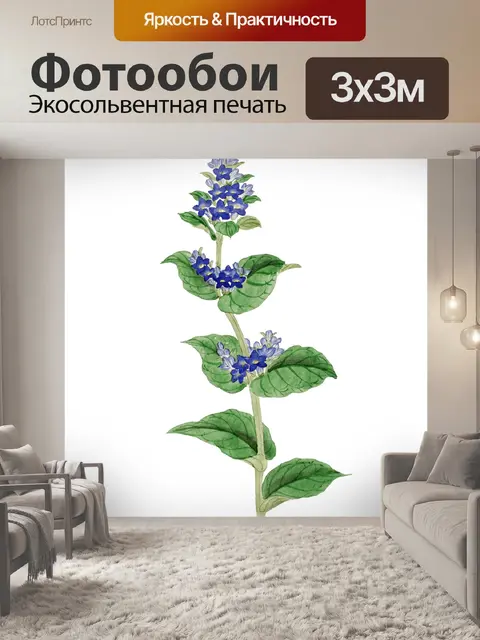 Фотообои Клипарт Flower vintage art