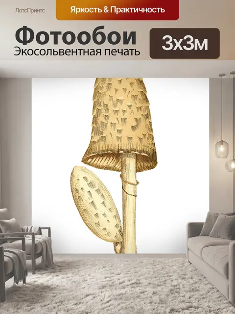 Фотообои Винтаж Клипарт Гриб Чемпион