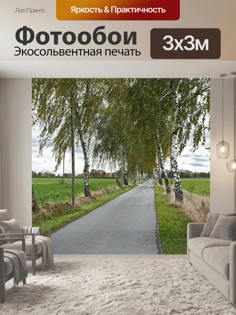 Фотообои Березовая аллея